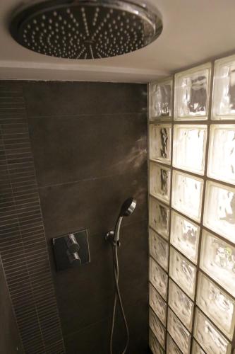 马德里Duplex en Chamberi Osoteca的一间带淋浴的浴室,位于带天花板的客房内
