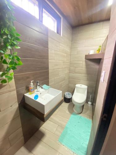 阿拉胡埃拉Apartamento H Gonzalez 21 free Parking AC wifi的一间带水槽和卫生间的浴室