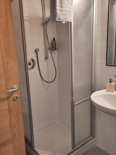 韦尔图尔诺Schrotthof的带淋浴和盥洗盆的浴室