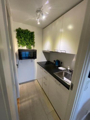 奥胡斯City Aarhus的一间带水槽和微波炉的小厨房