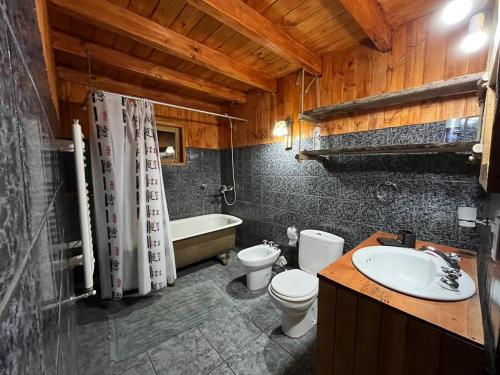 圣马丁德洛斯Cabaña El Maqui的浴室配有盥洗盆、卫生间和浴缸。