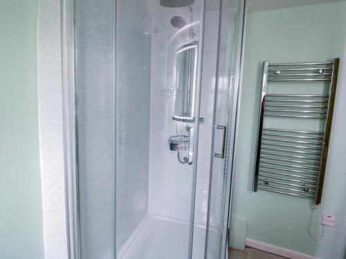 贝图瑟科伊德Dolwen的浴室里设有玻璃门淋浴