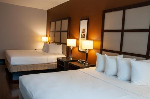蒙特利尔M蒙特利尔旅馆的酒店客房设有两张床和两盏灯。