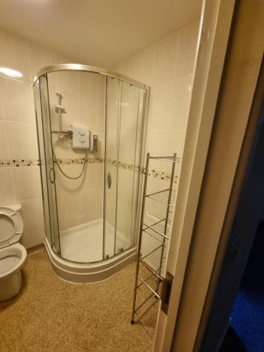 埃布韦尔Kings Arms Hotel Ebbw Vale的一间带玻璃淋浴和卫生间的浴室