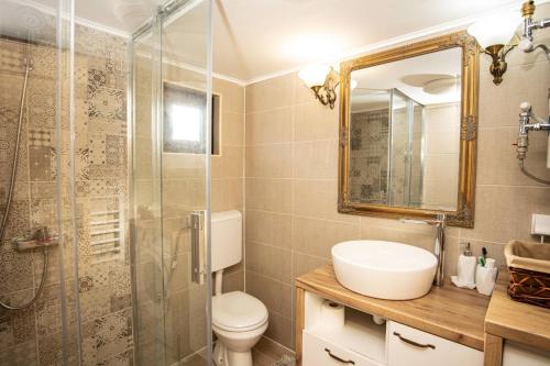 科拉欣Rustic house的浴室配有卫生间、盥洗盆和淋浴。