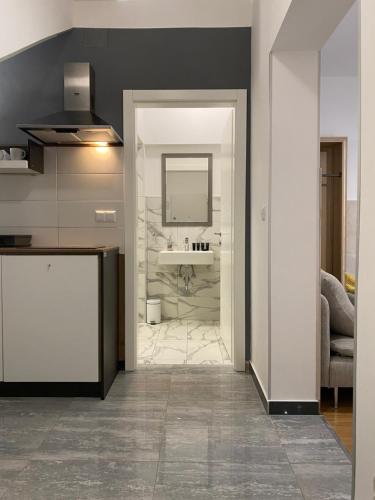 萨格勒布Grey Suites的带水槽的厨房和浴室
