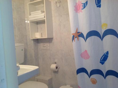 波罗斯特拉富罗斯公寓的一间带卫生间和淋浴帘的浴室