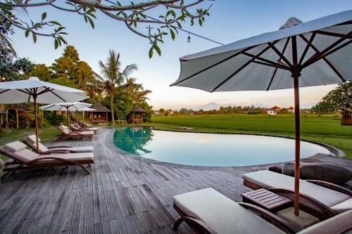 乌布Arya Villas Ubud的游泳池旁设有躺椅和遮阳伞