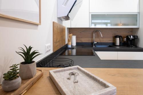 格拉茨MH Living - 23 - Scandinavian Living Dream in Center的厨房配有水槽和台面