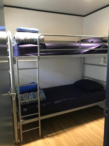 布鲁姆布鲁姆度假酒店的一张带蓝色床垫和梯子的双层床