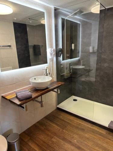 巴特拉斯费Hotel Pension Berghaus Sieben的一间带水槽和淋浴的浴室