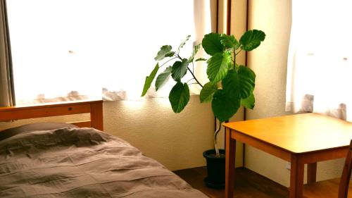萩市women only ulala guesthouse - Vacation STAY 44819v的桌子和窗户的房间里的植物