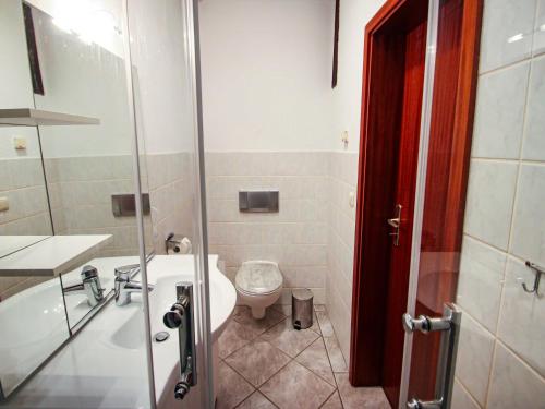 VogelsangFerienwohnungen Vogelsang的浴室配有卫生间、盥洗盆和淋浴。