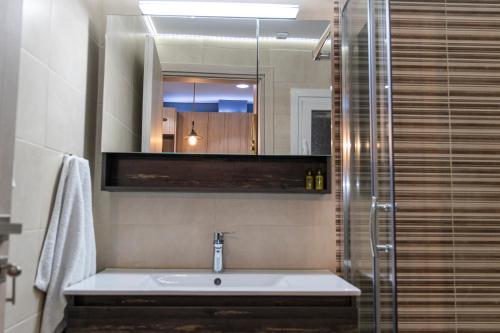 比雷埃夫斯Piraeus Port Exclusive的一间带水槽、淋浴和镜子的浴室
