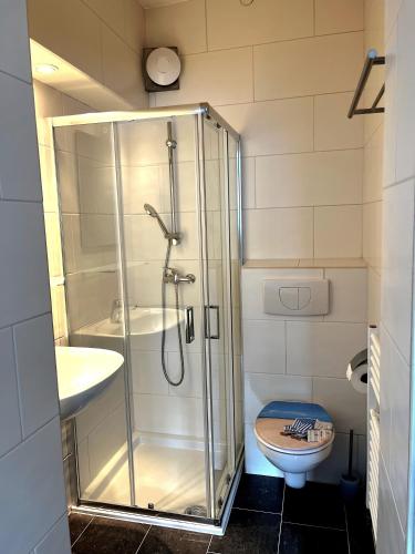 奥斯特霍尔茨-沙姆贝克Modern-Vintage Apartment的带淋浴和卫生间的浴室