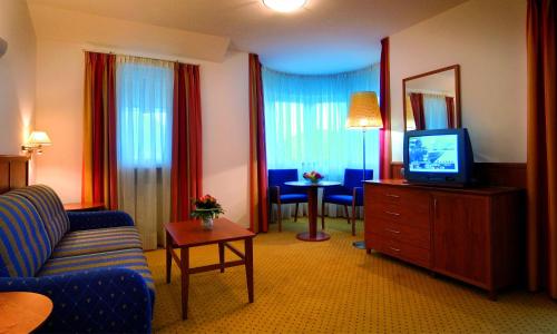 布列瑟农Hotel Millanderhof的一间配备有沙发及电视的酒店客房