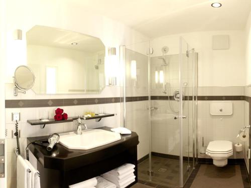 艾施河畔诺伊斯塔特艾列尔酒店的一间带水槽和淋浴的浴室