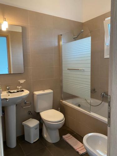 基普塞利Amaltheia Beach Front Houses的浴室配有卫生间、盥洗盆和淋浴。