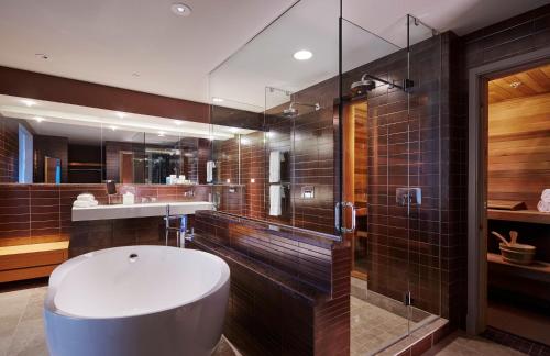罗斯芒特洛伊斯芝加哥奥黑尔酒店的带浴缸、水槽和淋浴的浴室