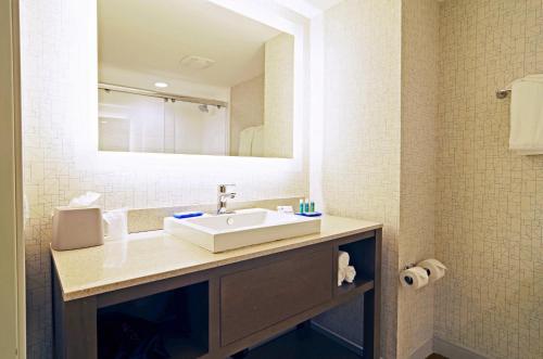 凤凰城北凤凰城/斯科特斯德智选假日酒店的一间带水槽和镜子的浴室