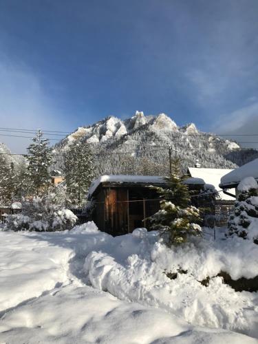 斯罗姆韦斯尼Apartament i pokoje u Piotra的山前的雪覆盖小屋