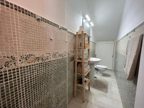蓬塔利亚纳Casa Vista Pájaro的一间带卫生间和瓷砖墙的浴室