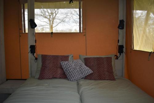 皮滕Klein Koestapel的窗户间内的一张带两个枕头的床
