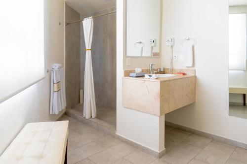 普埃布拉Mision Puebla Angelopolis的白色的浴室设有水槽和淋浴。