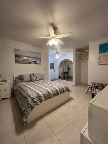 伊莎贝拉Playa y Campo Studio的一间卧室配有一张床和吊扇