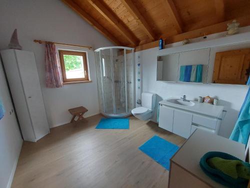 散特Ferienhof PUA的带淋浴、卫生间和盥洗盆的浴室
