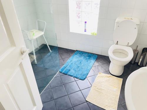 沃加沃加Classic Meets Modern in Central Wagga的一间带卫生间和蓝色地毯的浴室