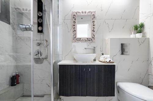 耶路撒冷Lovely 2 bedroom unit, Shivtey Israel, Jerusalem的一间带水槽、卫生间和镜子的浴室