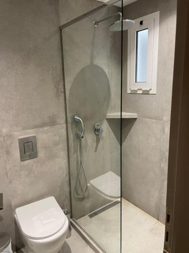 阿尔米洛波塔莫斯萨尔特里沃旅馆的浴室设有玻璃淋浴间和卫生间