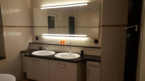 RumbachZur alten Wagnerei的一间带两个盥洗盆和大镜子的浴室