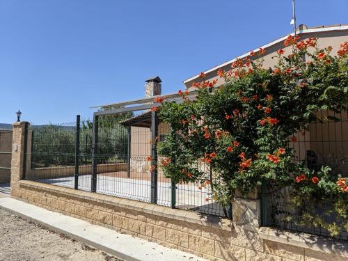 梅基嫩萨Casa Mequinenza的建筑物一侧有花的围栏