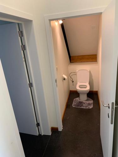 Sint-Denijs-WestremRap 'n Holiday Home的一间小浴室,内设卫生间