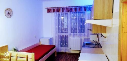斯维塔维Penzion Svitavy的小房间设有红色的床和窗户