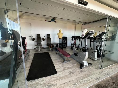 阿德耶Tenerife Sur Habitación de Lujo的健身房设有数台跑步机和玻璃墙