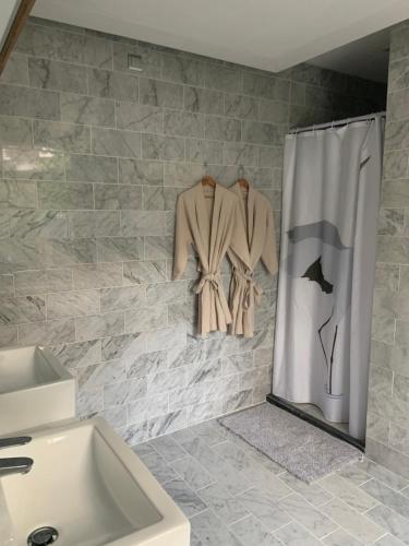 马斯特里赫特HS68-apartment的浴室配有淋浴帘和盥洗盆。