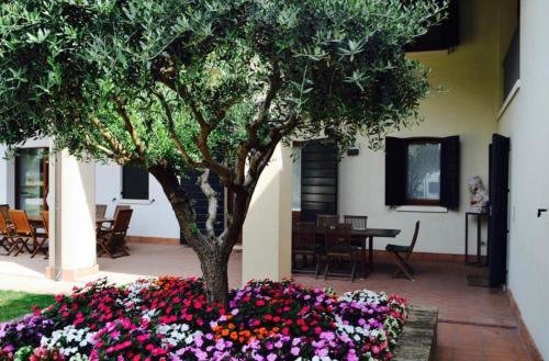 斯特拉Bed and Breakfast Ca’ Pisani的庭院里种满鲜花和树木的花园