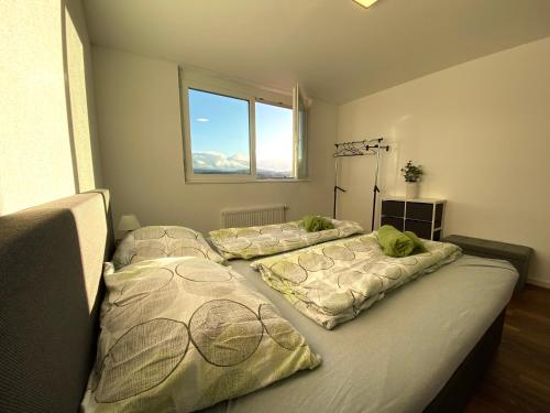 阿尔邦Apartment Säntisblick in Arbon von Swisspartments的带窗户的客房内设有两张单人床。