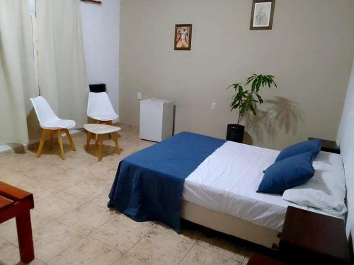 费德拉西翁Hotel Arenas Blancas的一间卧室配有床和两把椅子以及植物