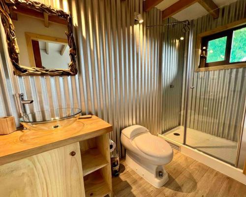 瓜达尔港Refugio Huerta Los Maquis的浴室配有卫生间、盥洗盆和淋浴。
