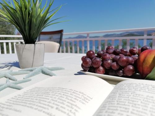 普特尼科维奇Beach apartments Seahorse and Seastar, Pelješac peninsula的一张桌子,上面放着一本书和一盘水果