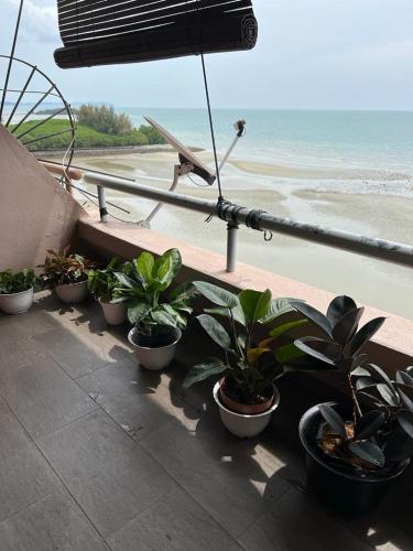 波德申PD VIP SEAVIEW w Wifi n Smart TV的阳台上的盆栽植物俯瞰海滩