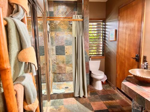 维雷亚毛伊美好世界住宿加早餐酒店的浴室配有卫生间、淋浴和盥洗盆。