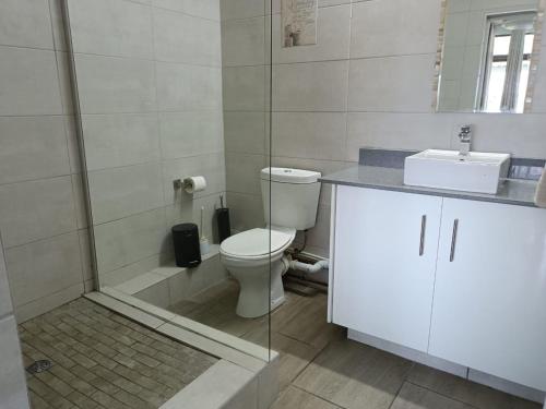 马盖特Dumela Margate Flat No 12的浴室配有卫生间、淋浴和盥洗盆。