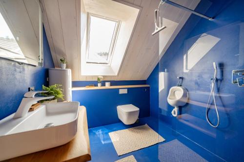 Begunje pri CerkniciHiša Zdravega Oddiha的蓝色的浴室设有水槽和卫生间