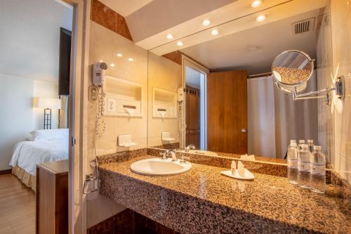 基多里约亚马逊酒店的一间带水槽和大镜子的浴室