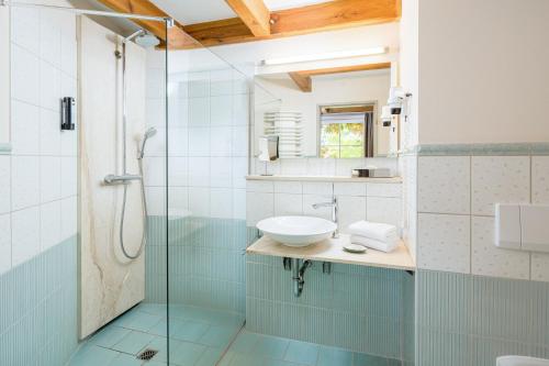 费尔德伯格浪漫希盖斯特霍夫及阿尔特斯措尔豪斯酒店的一间带水槽和玻璃淋浴的浴室